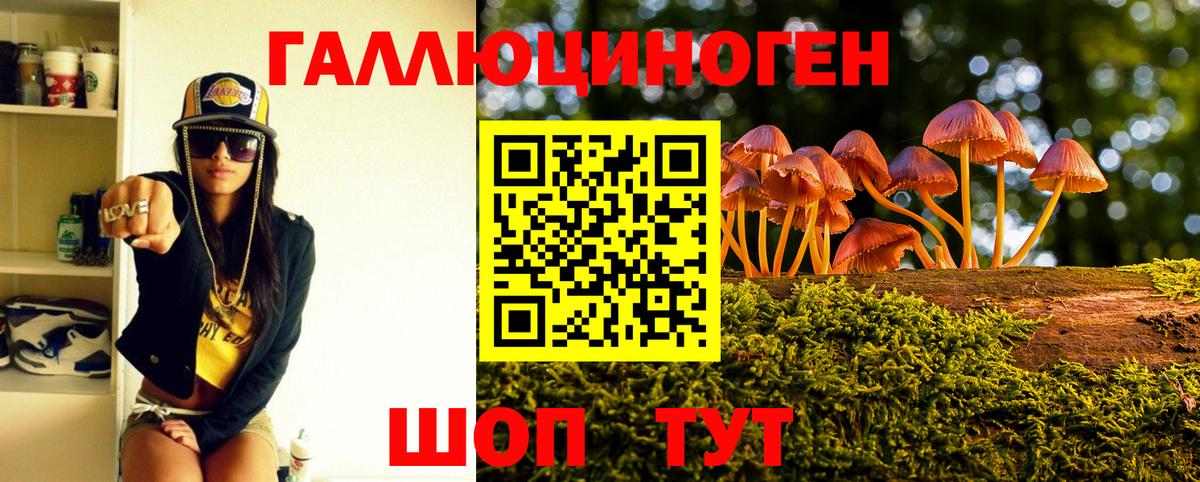 Галлюциногенные грибы мухоморы Саяногорск